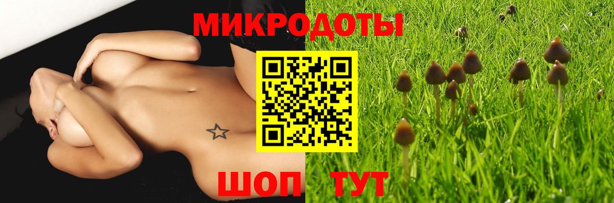 Псилоцибиновые грибы MAGIC MUSHROOMS  Вход с VPN  Дятьково 
